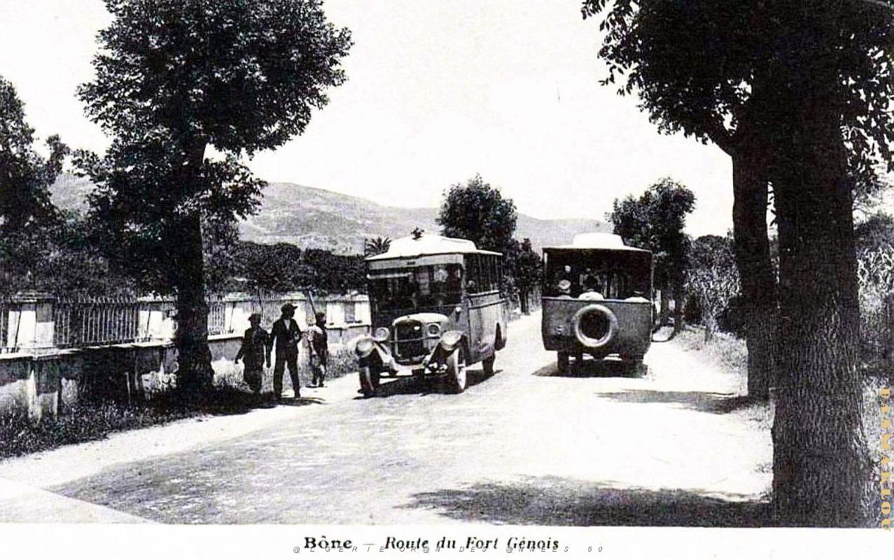 2594- Bone - Route du Fort Genois.jpg